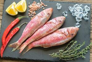 crudo rosso muggine con ingredienti foto