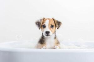 ai generato super carino cucciolo cane pieno di bolle nel vasca da bagno. foto