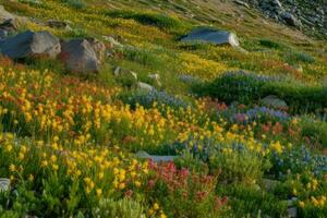 ai generato vivace colori di il fiori selvatici punteggiatura il paesaggio portare vita per il natura selvaggia. foto