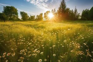 ai generato il baciato dal sole prato teso come lontano come il occhio poteva vedere nel Questo magico terra. foto