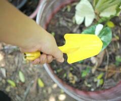 suolo cucchiaio e colorato per giardino lavoratore foto