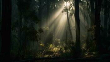 spaventoso foresta silhouette, mistero nel il buio autunno paesaggio generato di ai foto