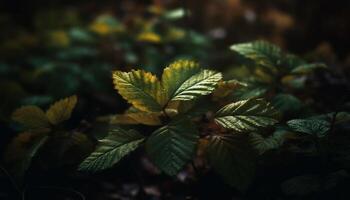 vivace autunno fogliame su incolto acero albero nel tranquillo foresta generato di ai foto