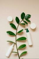 naturale erbaceo creme nel bottiglie e barattoli con verde le foglie su un' beige sfondo. il concetto di un' naturale biologico cosmetico Prodotto. piatto posizione, superiore Visualizza. foto