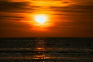 tramonto, cigni nuoto nel il illuminato mare. leggero onde. natura foto, baltico mare foto