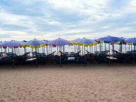 ombrellone affollato lungo la spiaggia foto