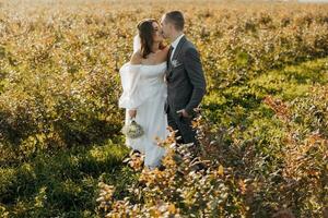 giovane nozze coppia - appena sposare sposo e sposa in posa all'aperto su loro nozze giorno. largo angolo. su il sfondo di montagne. un' bacio mentre a passeggio. foto