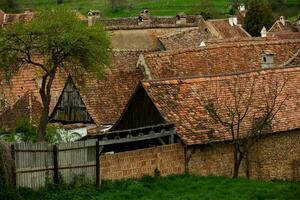 biertan un' molto bellissimo medievale villaggio nel transilvania, Romania. un' storico cittadina nel Romania quello ha conservato il franco e Gotico architettonico stile. viaggio foto. foto