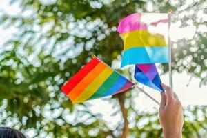 femmina mano hold lgbtq, bisessuale e padella sessuale bandiera. selettivo messa a fuoco. Genere queer. foto