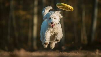 poco cane giocando nel il parco generativo ai foto