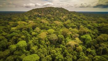 tranquillo cima dell'albero prato nel tropicale foresta pluviale, un' sereno avventura attende generativo ai foto