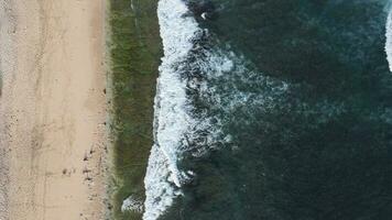 spiaggia sfondo superiore Visualizza foto