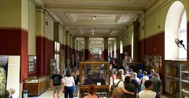 Cairo Egitto- marzo 18 2023 dentro il egiziano Museo nel Cairo. foto