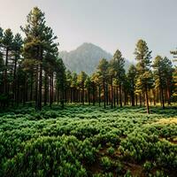 natura scenario il alberi nel il pino foresta su un' chiaro estate luce del giorno con verde erba modello creato con generativo ai tecnologia foto