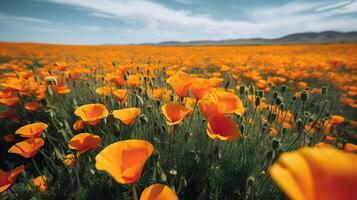 un' dritto su lontano lontano tiro di un' campo di molti luminosa arancia papavero fiori con un' livello orizzonte. generativo ai foto