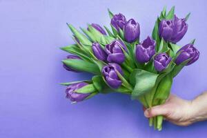 mans mano Tenere mazzo di fresco fiori tulipani su molto peri viola sfondo. foto