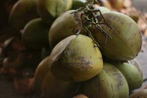 mazzo di acerbo verde noci di cocco nel città strada mercato. foto