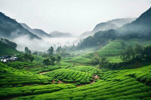 Visualizza di verde tè piantagioni nel il colline, bellissimo Visualizza generativo ai foto