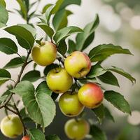 Mela su un' albero, frutta. ai generativo foto