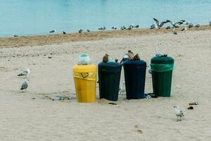 spazzatura o sciocchezze su spiaggia con plastica e bottiglie spargimento al di sopra di con gabbiani nel sfondo foto