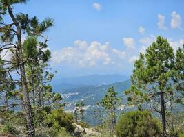 il mediterraneo macchia mediterranea, il tipico marittimo vegetazione di il coste di fronte il mediterraneo mare. nel Questo Astuccio noi siamo parlando di il italiano coste di liguria foto