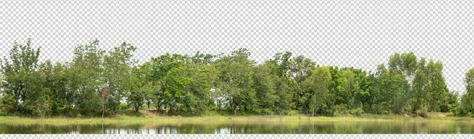 verde alberi isolato su trasparente sfondo foresta e estate fogliame per tutti e due Stampa e ragnatela con tagliare sentiero e alfa canale foto