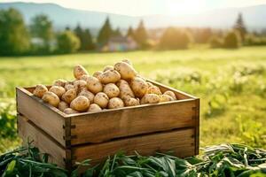 di legno scatola pieno di patate nel un' campo. generativo ai foto