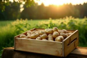 di legno scatola pieno di patate nel un' campo. generativo ai foto