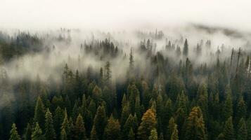 panoramico Visualizza di foresta con mattina nebbia, aereo spazi. generativo ai foto