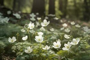 astratto natura primavera sfondo. primavera fiore e la farfalla, creare ai foto