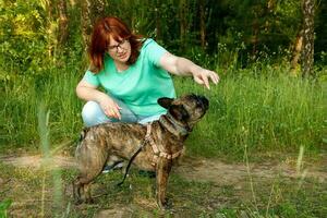 francese bulldog chat con il suo proprietario nel il parco estate pomeriggio foto