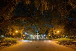 forsyth parco Fontana - savana, Georgia foto