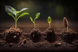 piantine in crescita a partire dal il terra , germinazione semi di vario , in crescita impianti e agricoltura concetto. ai generato foto