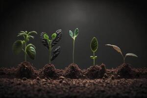 piantine in crescita a partire dal il terra , germinazione semi di vario , in crescita impianti e agricoltura concetto. ai generato foto