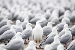 in piedi su a partire dal il folla , bianca uccello in piedi fra uomo grigio uccelli. ai generato foto