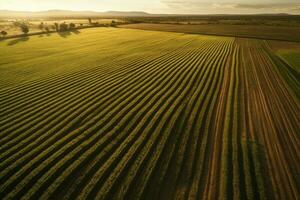 aereo Visualizza agricoltura sostenibilità, tramonto, bellissimo campo. ai generato foto