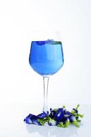 bevanda blu con erbe di pisello farfalla su sfondo bianco white