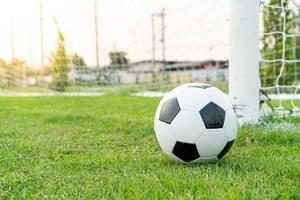 pallone da calcio sul campo da calcio foto