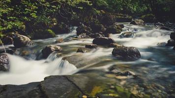 piccolo fiume in un bosco con pietre foto