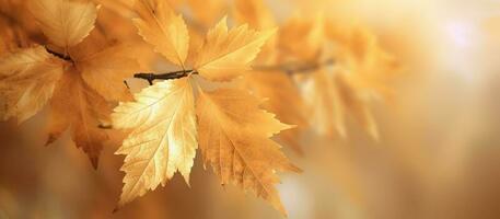 bellissimo autunno le foglie sfondo illustrazione. ai generato foto