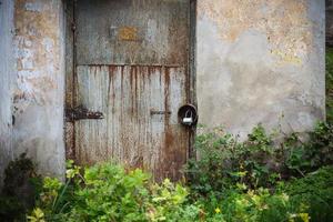 porta d'ingresso in metallo arrugginito scuro con moderno lucchetto in un muro di cemento grigio sporco circondato da erba verde foto