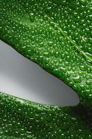 macro foglia verde con gocce d'acqua