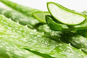 gel di aloe vera che gocciola dalla fetta di aloe vera vera foto