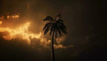 silhouette di palma albero contro arancia cielo, tranquillo tropicale atmosfera generato di ai foto
