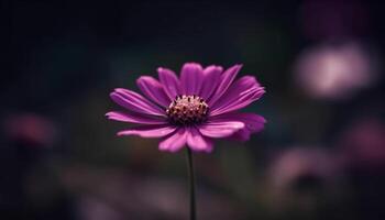 vivace cosmo fiore nel morbido messa a fuoco, circondato di fiori selvatici e fogliame generato di ai foto