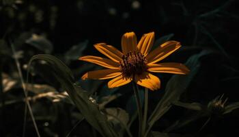 vivace girasole polline su giallo petali nel Fiore di campo prato generato di ai foto