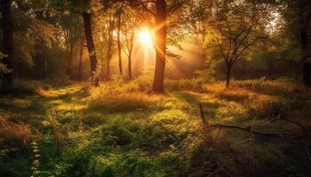 d'oro luce del sole si illumina vivace autunno foresta, un' tranquillo naturale fenomeno generato di ai foto