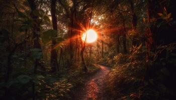 tranquillo crepuscolo nel il foresta, vivace le foglie sotto luce del sole generato di ai foto