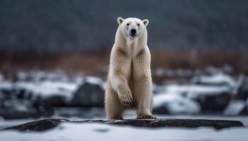 uno carino mammifero, un in via di estinzione specie, seduta su ghiaccio floe generato di ai foto