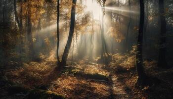 un' spaventoso autunno alba, mistero nel natura tranquillo natura selvaggia scena generato di ai foto